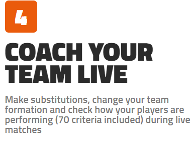coach your team